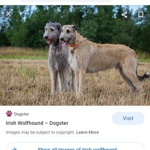 Meet your Posher, Wendy